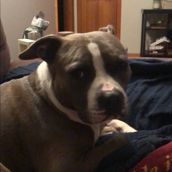 Meet your Posher, Donna - Picture 1 of 1